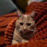 Tanja's profile picture