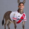 valentin's profile picture