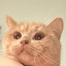 Enes cik's profile picture