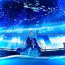 Profilbild von こはく【多趣味&多界隈】