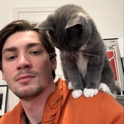 Bengal's profile picture