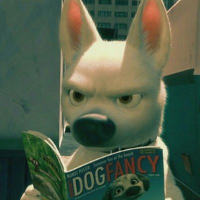 kiwidose's profile picture