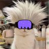 Ferray base.eth's profile picture