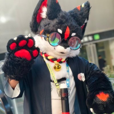 QngxnWOiI66CadC's profile picture