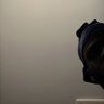 MerkyMarv profil fotoğrafı