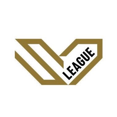 SVLEAGUE_JP's profile picture