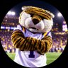 CajunTiger's profile picture