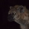 Фото профиля Leo !