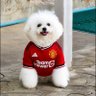 ♡ Shicken ☆ ( SMILEY 😊 Charlotte 🌻🪐 ) profil fotoğrafı