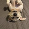 Bohogger1 profil fotoğrafı