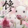 Profilbild von 爱吃肉的棒男孩
