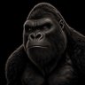 Cali Kong's profile picture