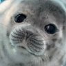 Profilbild von deputy annz