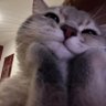 Profilbild von m