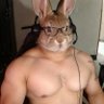 sins's profile picture