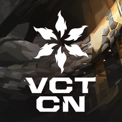 valesports_cn's profile picture