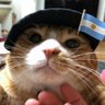 mimi 🚬's profile picture