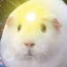 Profilbild von 田中野郎