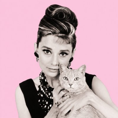 ѕιиεfℓσωεя ϟ нοℓο²'²⁷'s profile picture