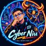 赛博牛哥 · CyberNiu 的头像