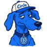 Jer Dog profil fotoğrafı