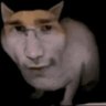 Karadinos's profile picture