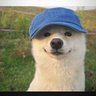 Profilbild von Elixir