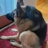 nada que hacer profil fotoğrafı
