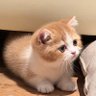 AFlower profil fotoğrafı