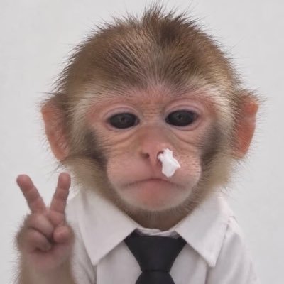𝗦𝗣𝗘𝗥𝟯𝟵𝟮's profile picture