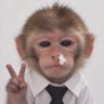 𝗦𝗣𝗘𝗥𝟯𝟵𝟮's profile picture