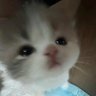가연's profile picture