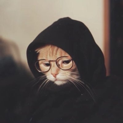 PrettyLiar24's profile picture