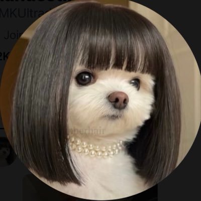MKUltradeep's profile picture