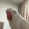 znxa 的头像