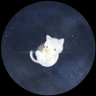 َ's profile picture
