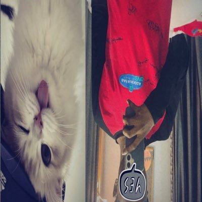 dih_lou's profile picture
