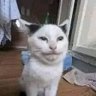 Profilbild von πKuroπ𝕏