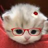beidao's profile picture