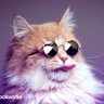 pöp? profil fotoğrafı