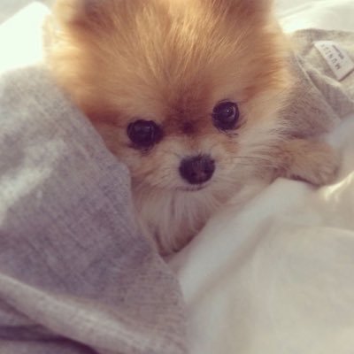 eoomuuk's profile picture