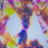 オポジット ボリコ profil fotoğrafı