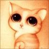 Madelon Luce♿🇳🇱🇪🇺's profile picture