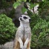 ŁukaszO profil fotoğrafı