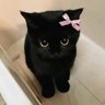itarooi's profile picture