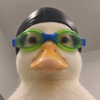 🐟's profile picture