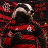 Фото профиля Texugo CRF🔴⚫