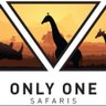 Only One Safaris's profile picture