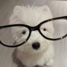 Po ้'s profile picture