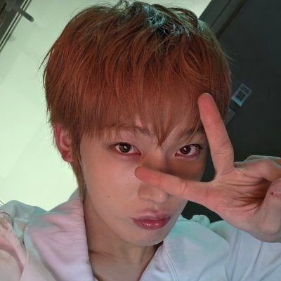 dollnooz's profile picture